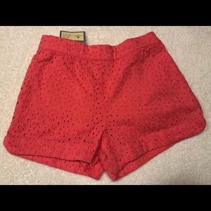 NWT Beautiful Baby Gap Shorts with Eyelets size 5